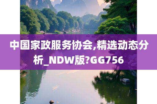 中国家政服务协会,精选动态分析_NDW版?GG756