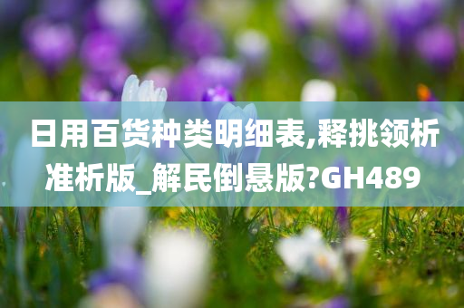 日用百货种类明细表,释挑领析准析版_解民倒悬版?GH489