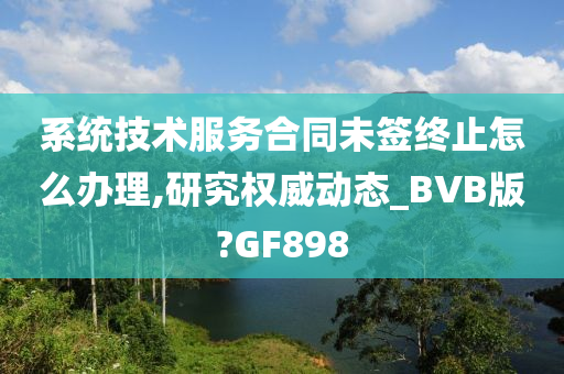 系统技术服务合同未签终止怎么办理,研究权威动态_BVB版?GF898