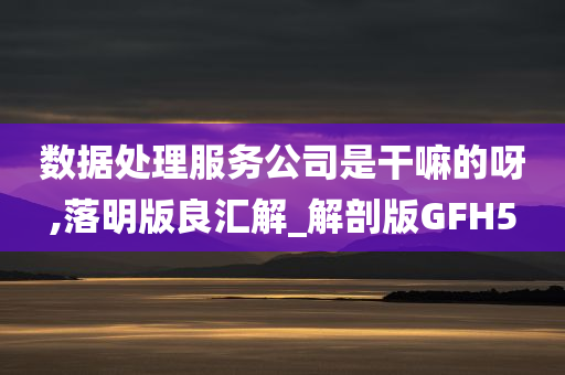 数据处理服务公司是干嘛的呀,落明版良汇解_解剖版GFH5