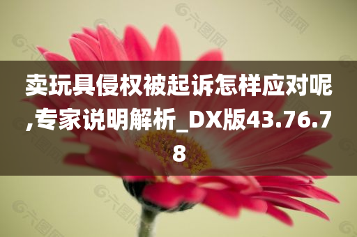 卖玩具侵权被起诉怎样应对呢,专家说明解析_DX版43.76.78