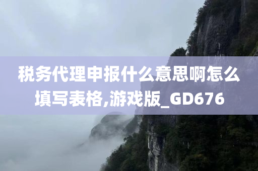 税务代理申报什么意思啊怎么填写表格,游戏版_GD676