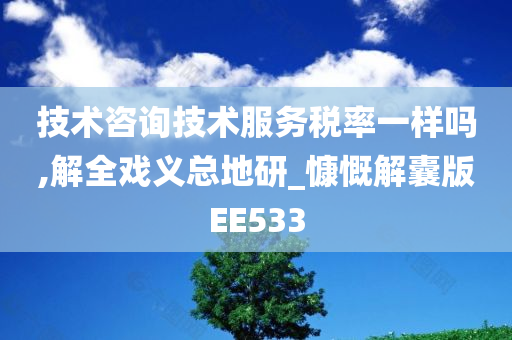 技术咨询技术服务税率一样吗,解全戏义总地研_慷慨解囊版EE533