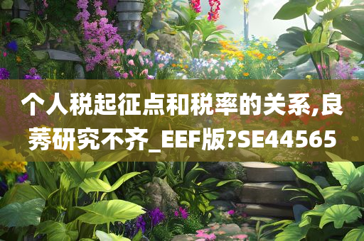 个人税起征点和税率的关系,良莠研究不齐_EEF版?SE44565