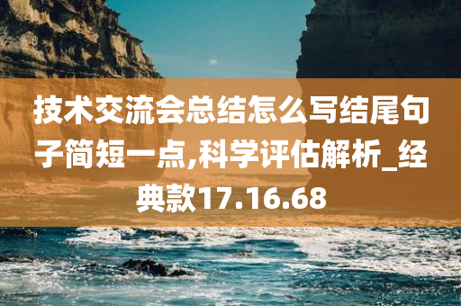 技术交流会总结怎么写结尾句子简短一点,科学评估解析_经典款17.16.68