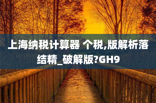 上海纳税计算器 个税,版解析落结精_破解版?GH9