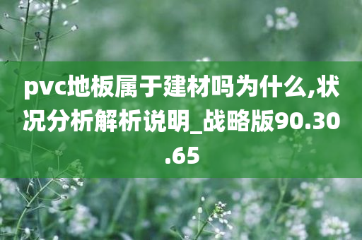 pvc地板属于建材吗为什么,状况分析解析说明_战略版90.30.65