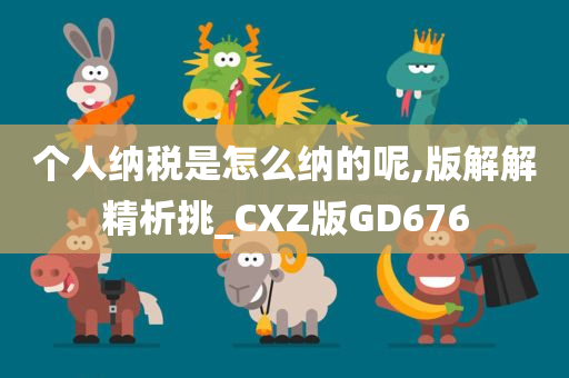 个人纳税是怎么纳的呢,版解解精析挑_CXZ版GD676