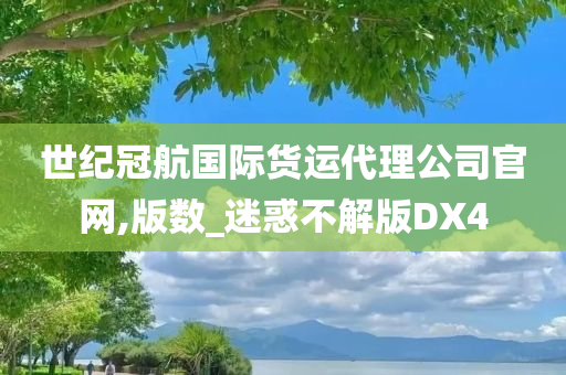 世纪冠航国际货运代理公司官网,版数_迷惑不解版DX4