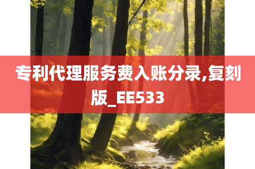 专利代理服务费入账分录,复刻版_EE533