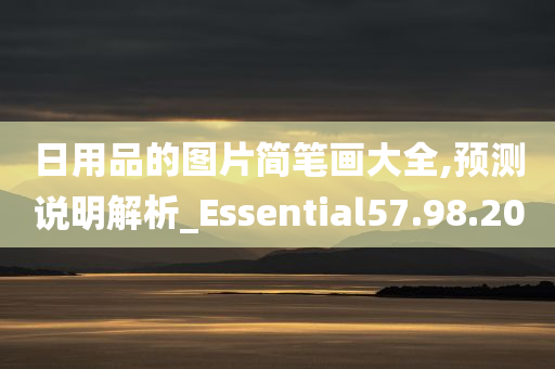 日用品的图片简笔画大全,预测说明解析_Essential57.98.20