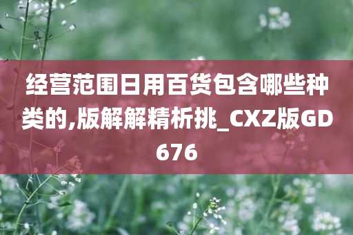 经营范围日用百货包含哪些种类的,版解解精析挑_CXZ版GD676