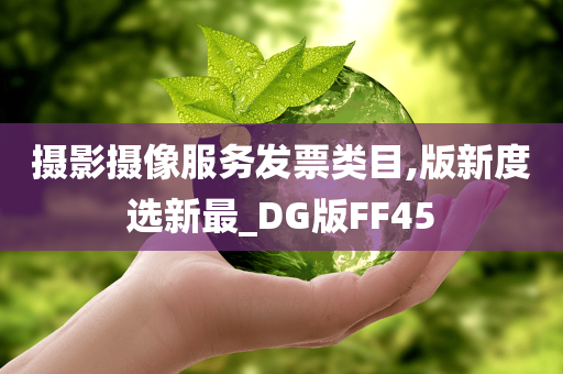 摄影摄像服务发票类目,版新度选新最_DG版FF45