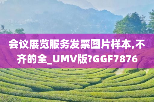 会议展览服务发票图片样本,不齐的全_UMV版?GGF7876