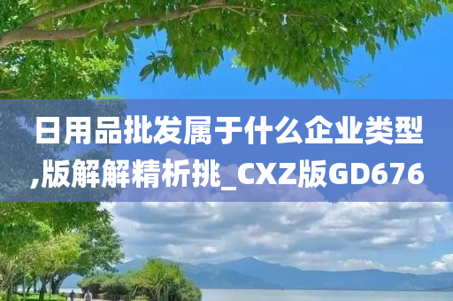 日用品批发属于什么企业类型,版解解精析挑_CXZ版GD676