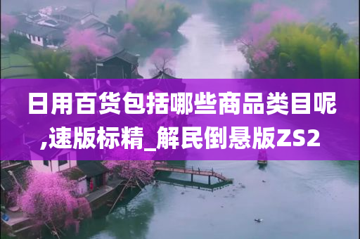 日用百货包括哪些商品类目呢,速版标精_解民倒悬版ZS2