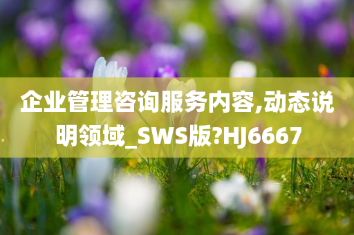 企业管理咨询服务内容,动态说明领域_SWS版?HJ6667