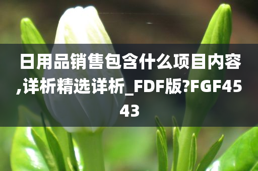 日用品销售包含什么项目内容,详析精选详析_FDF版?FGF4543