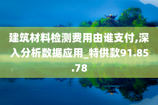 建筑材料检测费用由谁支付,深入分析数据应用_特供款91.85.78