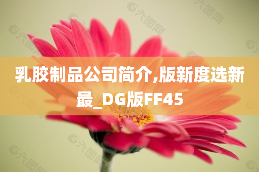 乳胶制品公司简介,版新度选新最_DG版FF45