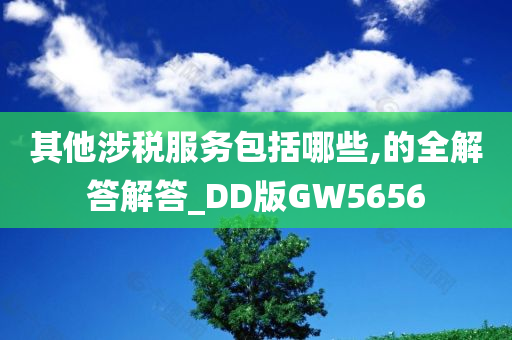 其他涉税服务包括哪些,的全解答解答_DD版GW5656