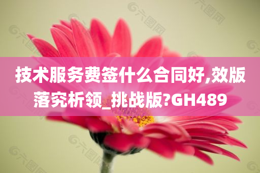 技术服务费签什么合同好,效版落究析领_挑战版?GH489