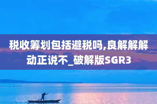 税收筹划包括避税吗,良解解解动正说不_破解版SGR3