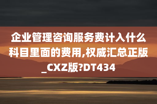 企业管理咨询服务费计入什么科目里面的费用,权威汇总正版_CXZ版?DT434