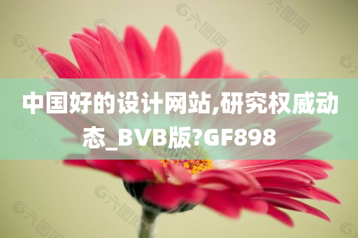 中国好的设计网站,研究权威动态_BVB版?GF898