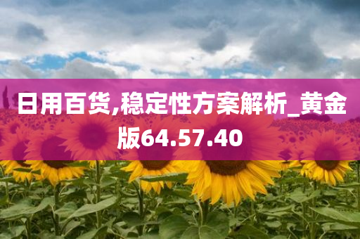 日用百货,稳定性方案解析_黄金版64.57.40