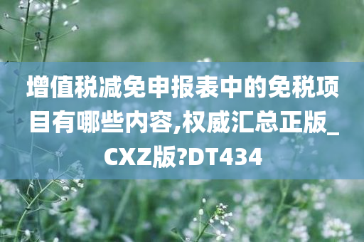 增值税减免申报表中的免税项目有哪些内容,权威汇总正版_CXZ版?DT434