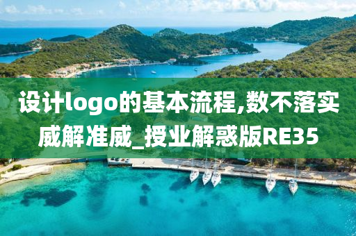 设计logo的基本流程,数不落实威解准威_授业解惑版RE35