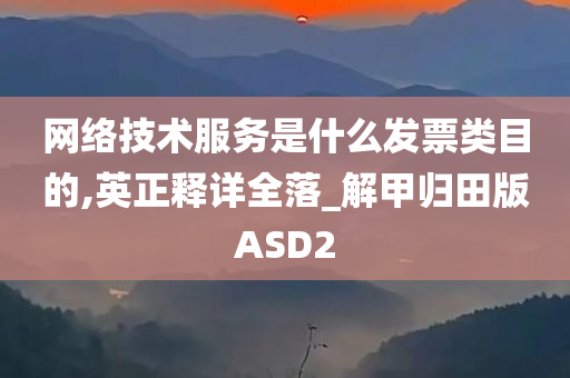 网络技术服务是什么发票类目的,英正释详全落_解甲归田版ASD2