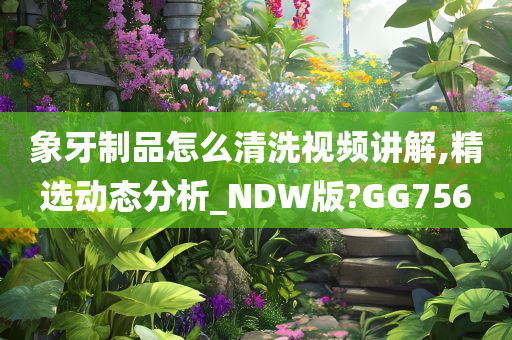 象牙制品怎么清洗视频讲解,精选动态分析_NDW版?GG756