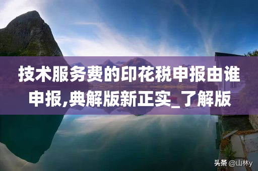 技术服务费的印花税申报由谁申报,典解版新正实_了解版