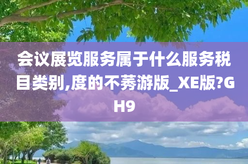 会议展览服务属于什么服务税目类别,度的不莠游版_XE版?GH9