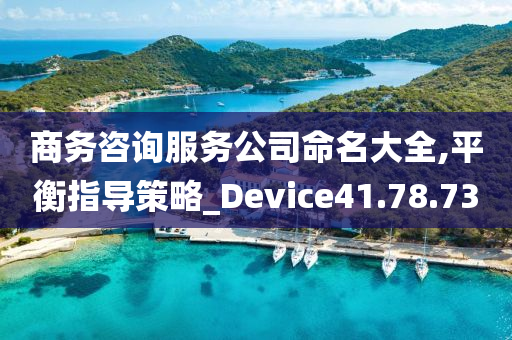 商务咨询服务公司命名大全,平衡指导策略_Device41.78.73