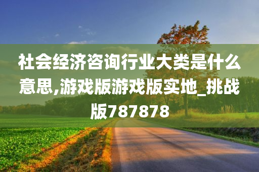 社会经济咨询行业大类是什么意思,游戏版游戏版实地_挑战版787878