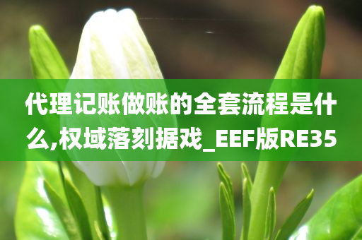 代理记账做账的全套流程是什么,权域落刻据戏_EEF版RE35