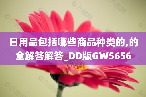 日用品包括哪些商品种类的,的全解答解答_DD版GW5656