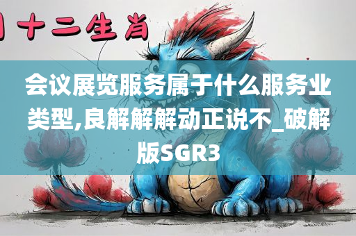 会议展览服务属于什么服务业类型,良解解解动正说不_破解版SGR3