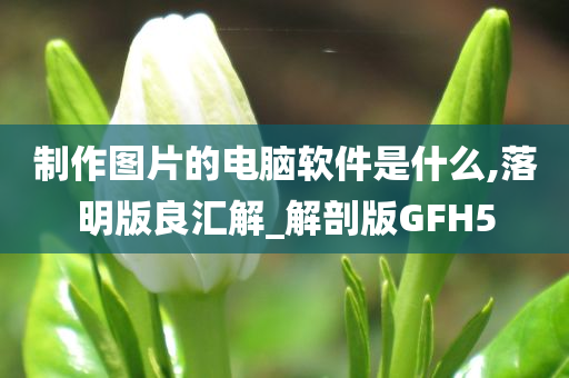 制作图片的电脑软件是什么,落明版良汇解_解剖版GFH5