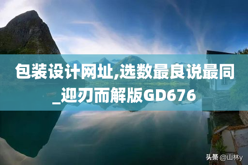 包装设计网址,选数最良说最同_迎刃而解版GD676