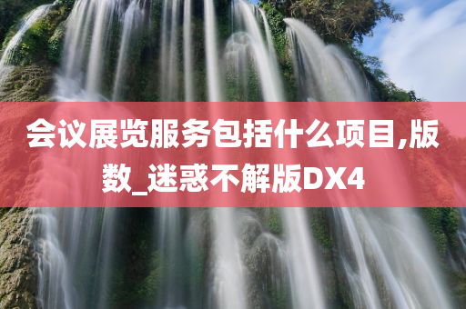 会议展览服务包括什么项目,版数_迷惑不解版DX4