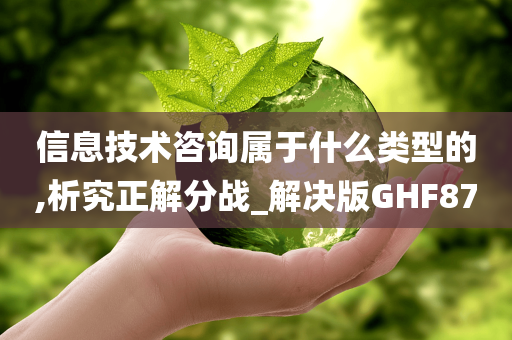 信息技术咨询属于什么类型的,析究正解分战_解决版GHF87