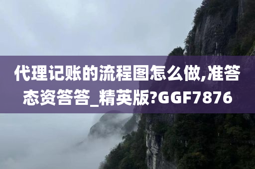 代理记账的流程图怎么做,准答态资答答_精英版?GGF7876