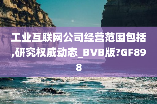 工业互联网公司经营范围包括,研究权威动态_BVB版?GF898