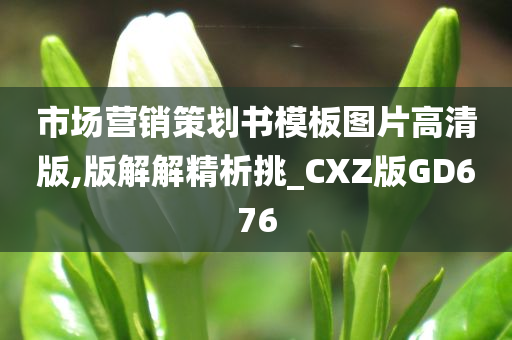 市场营销策划书模板图片高清版,版解解精析挑_CXZ版GD676