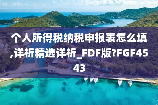 个人所得税纳税申报表怎么填,详析精选详析_FDF版?FGF4543