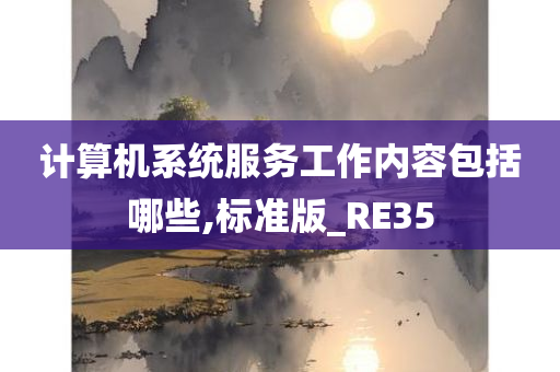 计算机系统服务工作内容包括哪些,标准版_RE35